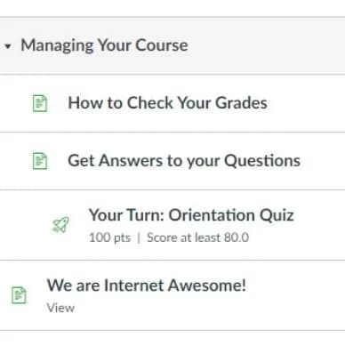 Orientation course modules: Managing Your Course, How to Check Your Grades, Get Answers to your Questions and an orientation quiz